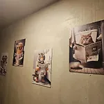 Kemping Hakuna Matata, еко, плаж градина *