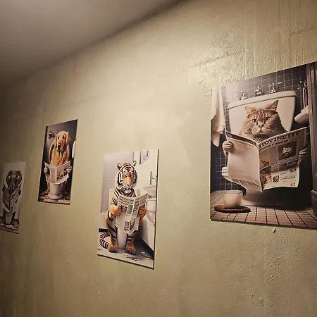 אתר קמפינג Hakuna Matata, еко, плаж градина *